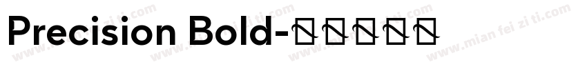 Precision Bold字体转换